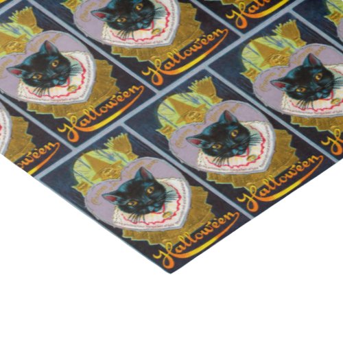 Vintage Halloween black cat witch party tissue Tissue Paper