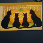 Vintage Halloween Black Cats and Jack O'Lantern Postcard