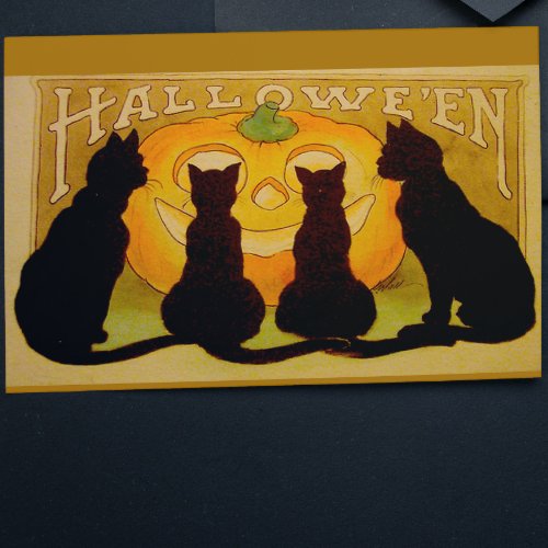 Vintage Halloween Black Cats and Jack OLantern Postcard