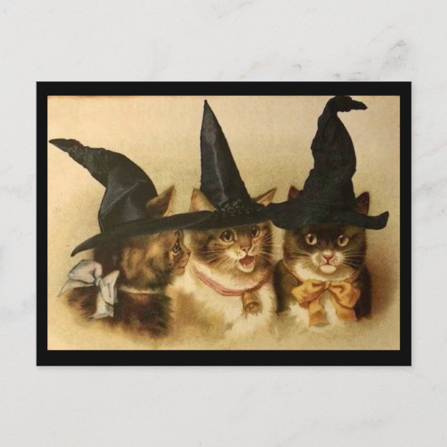 Vintage Halloween Black Cats Postcard (Front)