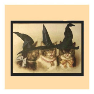 Vintage Halloween Black Cats Postcard
