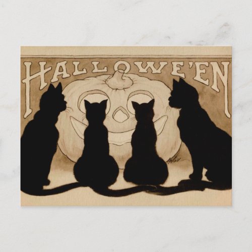 Vintage Halloween black cats pumpkin postcard