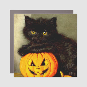 Vintage Halloween Cat and Jack-o’-lantern Car Magnet