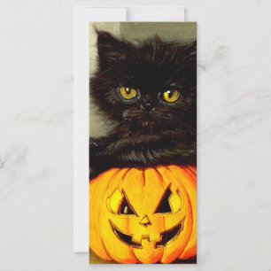 Vintage Halloween Cat and Jack-o’-lantern Card