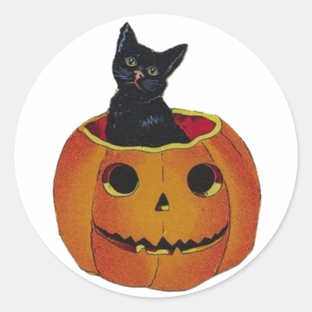 Vintage Halloween Cat In Pumpkin Classic Round Sticker (Front)