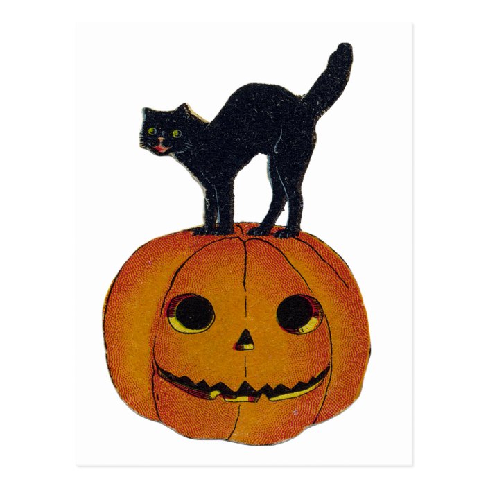 Vintage Halloween Cat Postcard | Zazzle.com