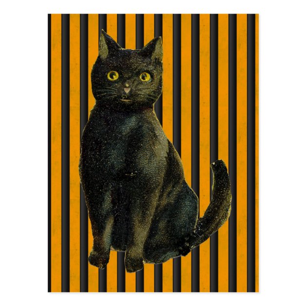 Vintage Halloween Cat Postcard