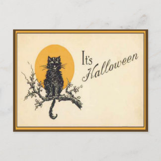 Vintage Halloween Cat Postcard
