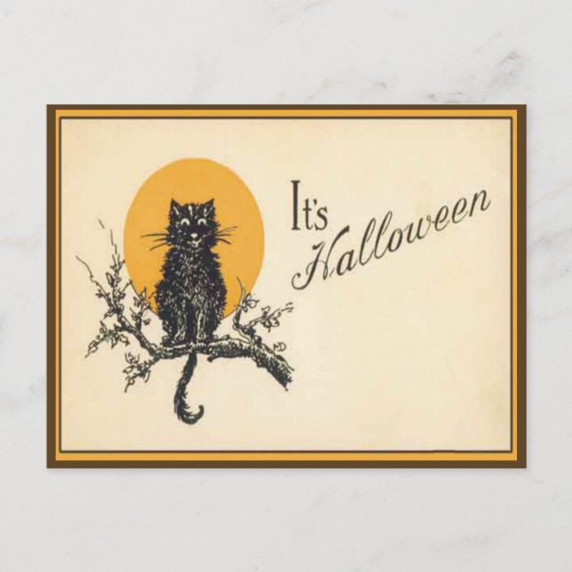 Vintage Halloween Cat Postcard (Front)