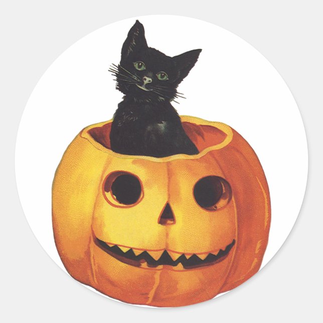 Vintage Halloween, Cute Black Cat in a Pumpkin Classic Round Sticker (Front)