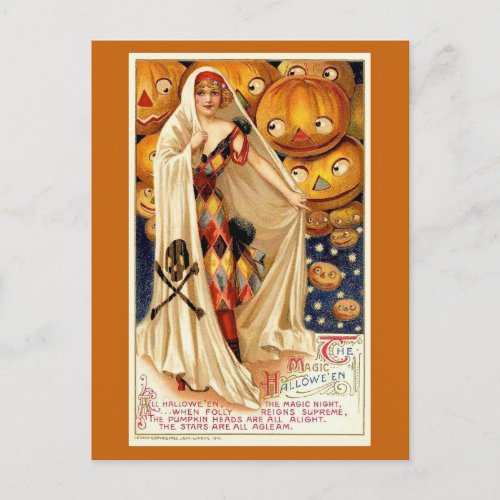 Vintage Halloween Funny Illustration  Postcard