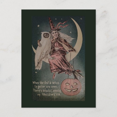 Vintage Halloween Funny owl illustration Postcard