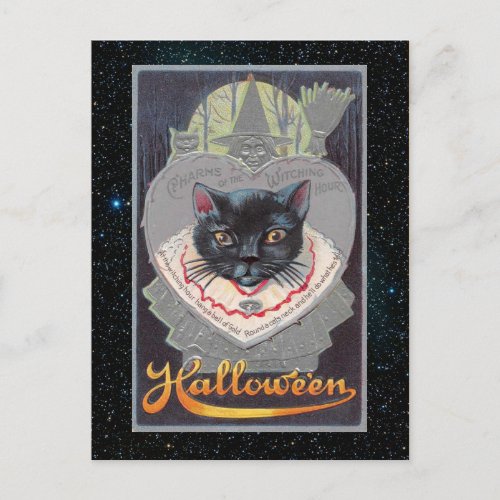 Vintage Halloween Funnycat illustration Postcard