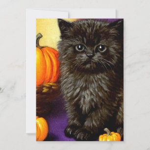 Vintage Halloween Kitten Invitation