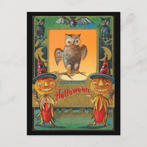 Vintage Halloween Owl Postcard
