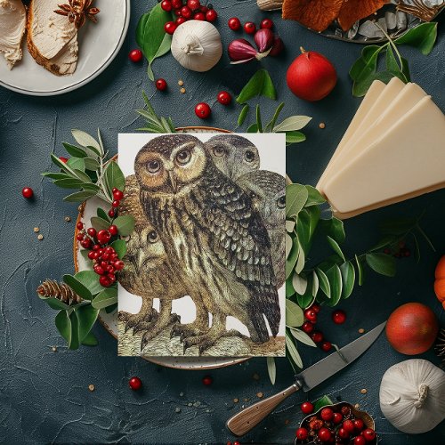 Vintage Halloween Owls  Holiday Card