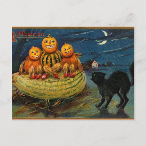 Vintage Halloween Party Black Cat Scary Pumpkins Postcard