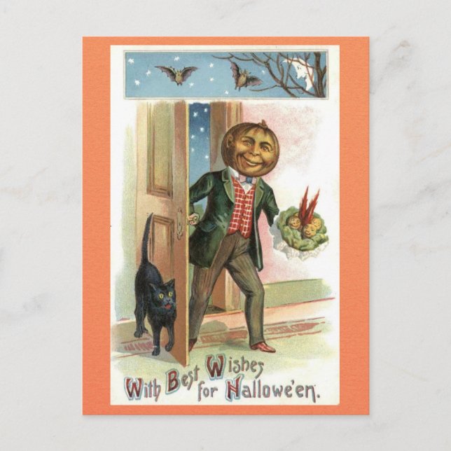 Vintage Halloween Pumpkin Head Man Black Cat Postcard (Front)