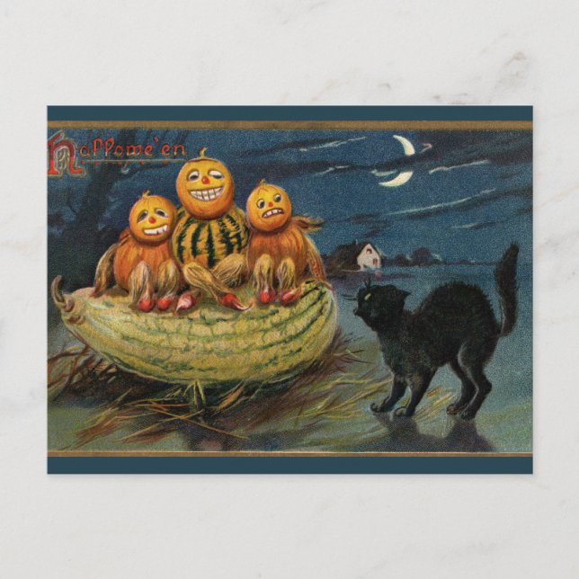 Vintage Halloween Pumpkins Black Cat Postcard (Front)