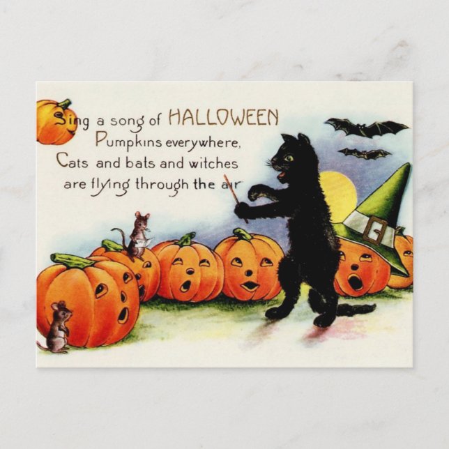 Vintage Halloween Singing Pumpkins Cat Post Card (Front)
