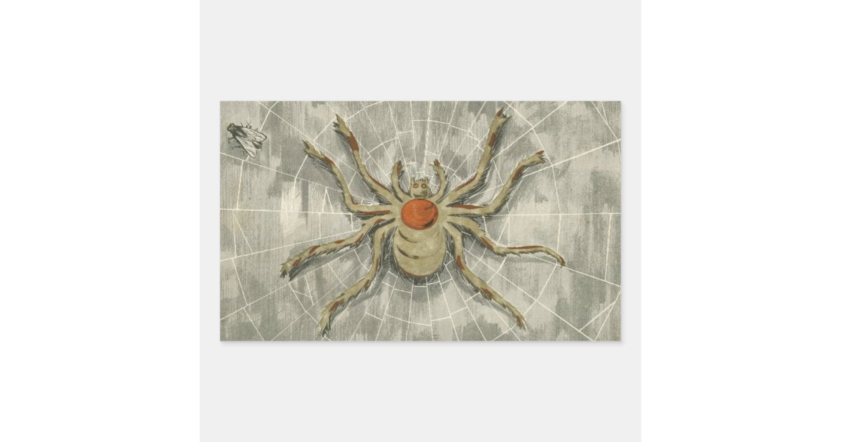 Sticker Spider Rectangular Vintage Halloween Spider in Her Web with a Fly Rectangular Sticker | Zazzle