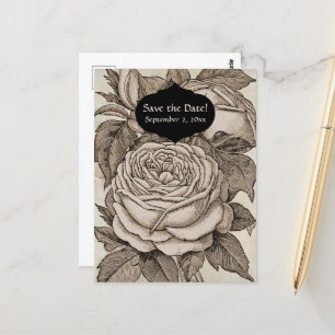 Vintage Halloween Victorian Gothic Rose in Sepia Postcard