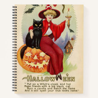 Vintage Halloween Witch and Black Cat Notebook
