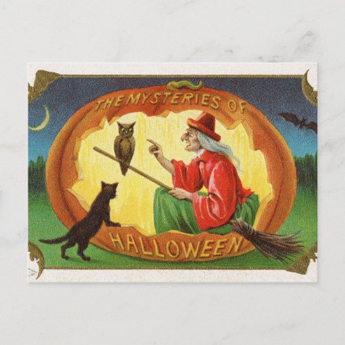 Vintage Halloween witch cat owl postcard