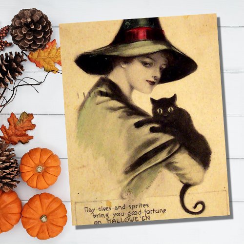 Vintage Halloween Witch Holding Black Cat Postcard