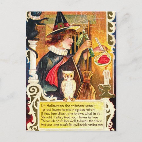 Vintage Halloween witch owl Holiday postcard