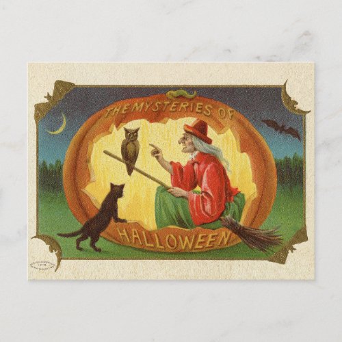 Vintage Halloween Witch Postard Postcard