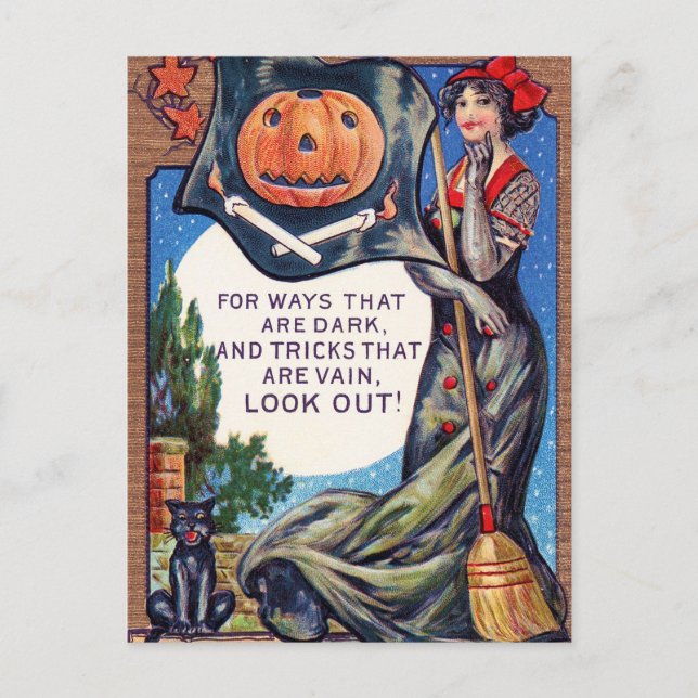 Vintage Halloween witch pumpkin cat postcard (Front)