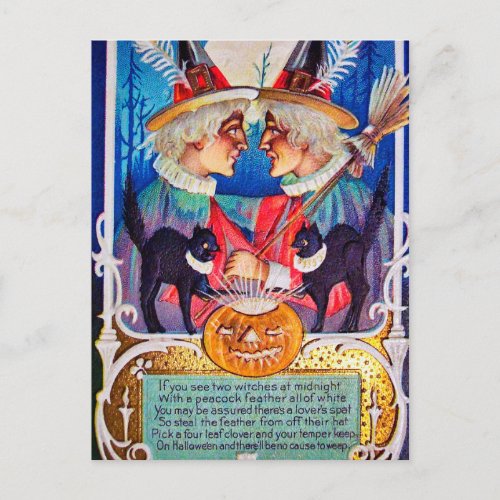 Vintage Halloween witches black cats postcard