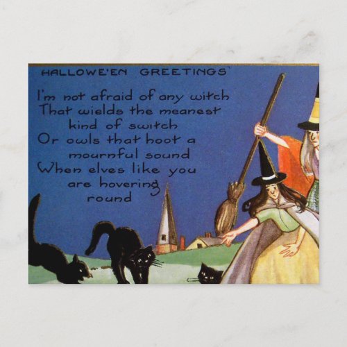 Vintage Halloween witches black cats postcard