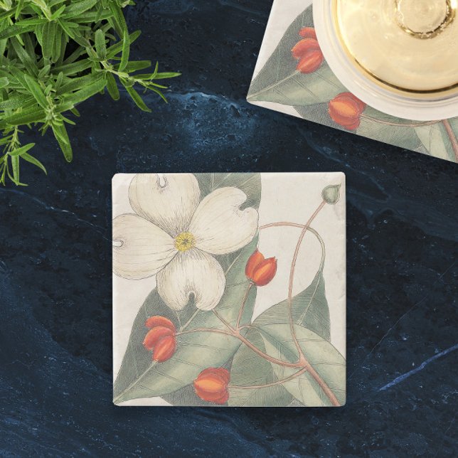 🍃Vintage Hand-Drawn Dogwood Flower Illustration  Stone Coaster (🍃Vintage Hand-Drawn Dogwood Flower Illustration Stone Coaster
)