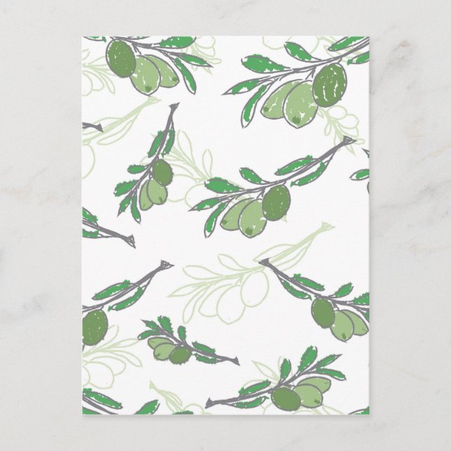 Vintage Hand-Drawn Olive Branch Postcard – Rustic  (Front)