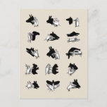 Vintage Hand Puppet Shadow Games Postcard