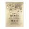 Vintage hanging lamp lights save the date cards