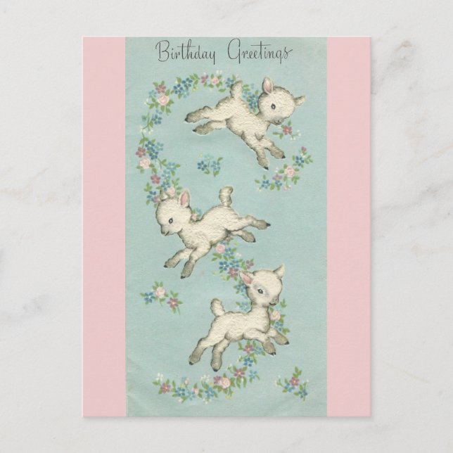 Vintage Happy Birthday Lambs Postcard (Front)