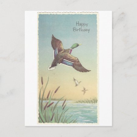 Vintage Happy Birthday Mallard Postcard