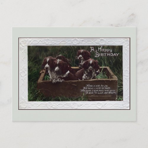 Vintage happy birthday springer spaniel puppies postcard