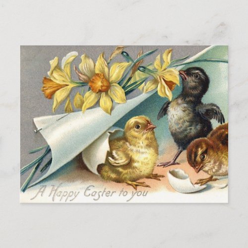 Vintage Happy Easter Chicken and Daffodils  Holiday Postcard