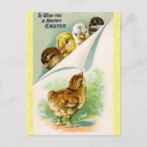 Vintage Happy Easter Cute Chicks Postcard