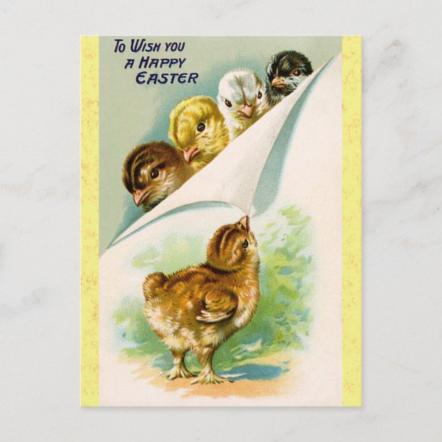 Vintage Happy Easter Cute Chicks Postcard (Front)
