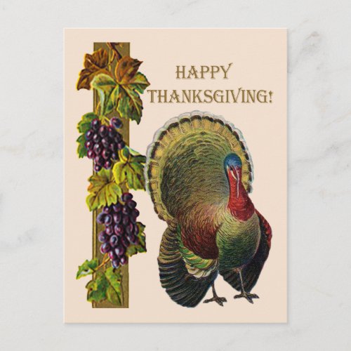 Vintage Happy Thanksgiving Turkey and Grapes ZSSG Holiday Postcard