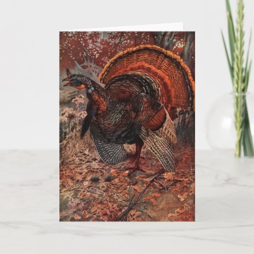 Vintage Happy Thanksgiving Turkey Holiday Card