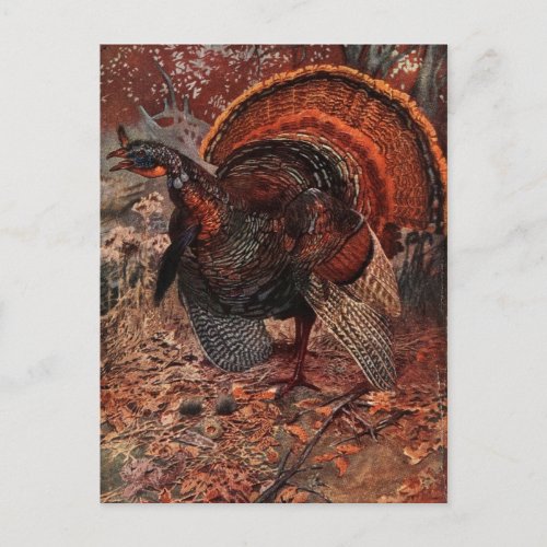 Vintage Happy Thanksgiving Turkey Holiday Postcard