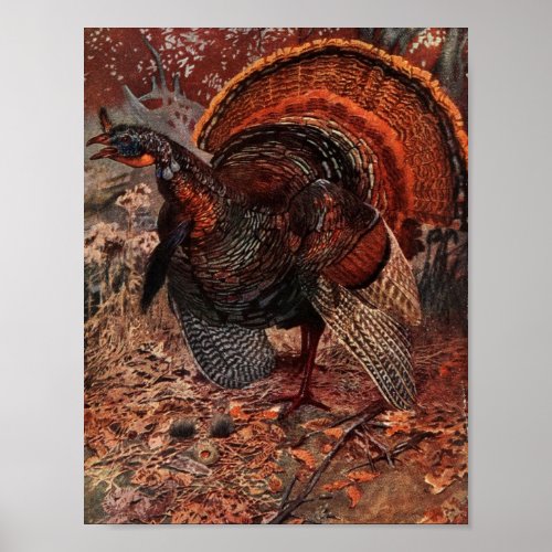 Vintage Happy Thanksgiving Turkey Poster