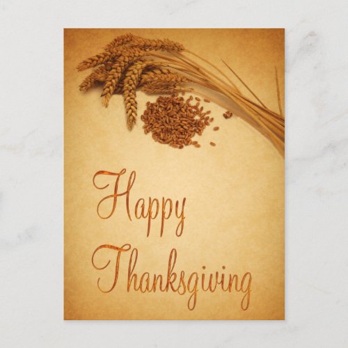 Vintage Happy Thanksgiving Wheat Corn Holiday Postcard