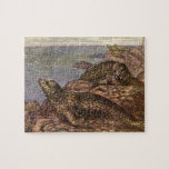 Vintage Harbor Seals, Marine Life Ocean Animals Jigsaw Puzzle